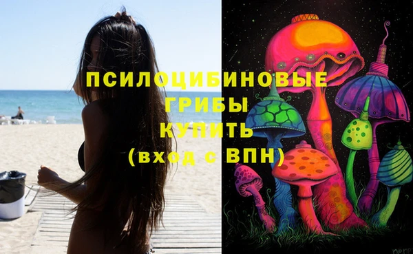 мет Балахна