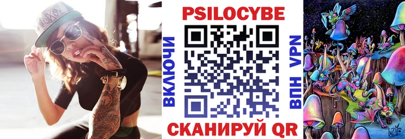 Псилоцибиновые грибы Psilocybine cubensis  Кондрово 